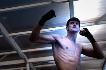 Portrait of handsome muscular athlete professional boxer man posing puching © Danai