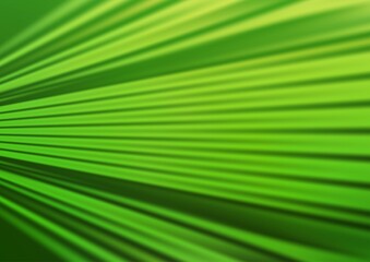 Light Green vector modern elegant template.