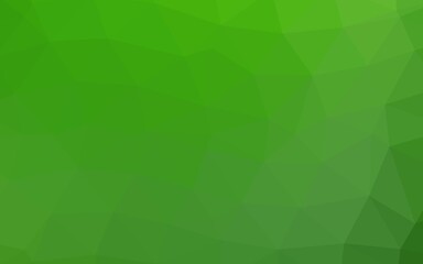 Light Green vector polygonal background.