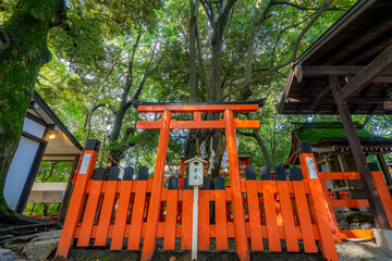 下鴨神社