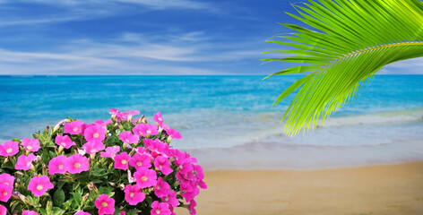 beach with palm trees and flowers