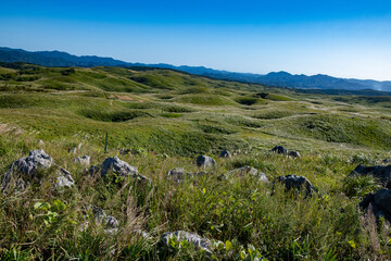 Fototapeta na wymiar 秋の秋吉台カルスト台地の風景が面白い、石灰岩とドリーネと草原の風景