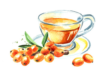 Cup of tea with Sea buckthorn ripe berries. Hand drawn watercolor illustration, isolated on white background