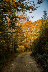 Natureza por Oiartzun