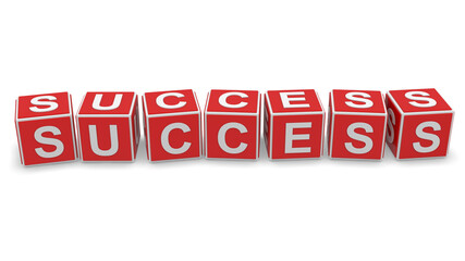 Success