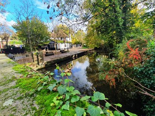 bridge over the river