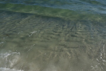 Small waves from the ocean near the shore