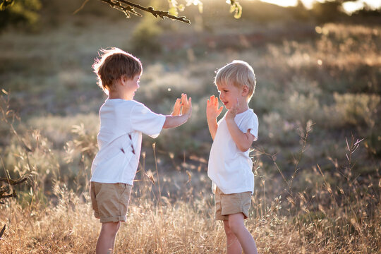 Two little boys playing together in nature