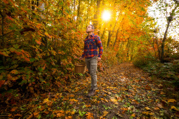 Man walking in a forest during autumn season with a basket and sunlight shining behind the trees