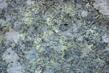 Rock fungus texture. Seamless texture of weathered volcanic rock surface with stains of fungus.