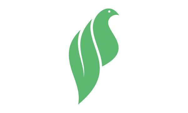 logo design bird and leaf simple icon vector illustration