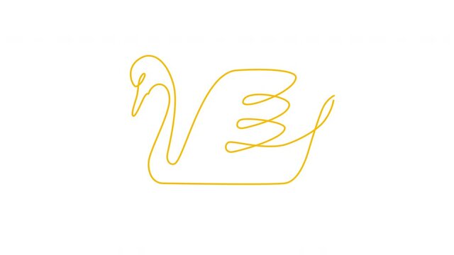 Self drawing animation of swimming swan. Copy space. White background. Golden line art.