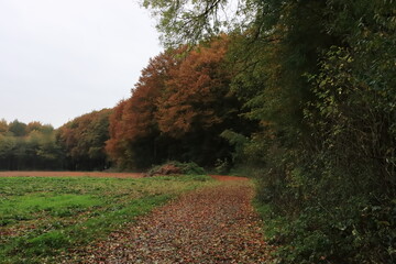 Die Farben des Herbstes