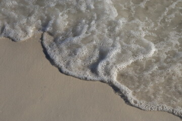 Small waves from the ocean near the shore