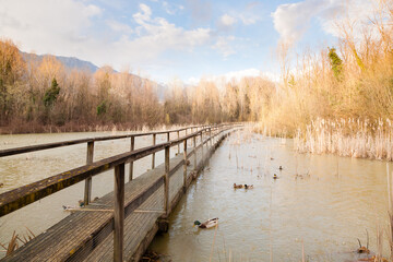Naklejka premium Old wood footbridge on lagoon, rural landscape