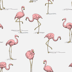 Tropical seamless pattern. Pink flamingo on white background. Vector color hand drawn sketch illustration.