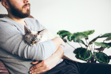 Handsome man is holding cat little Devon Rex cat. Spending time with cat, boosting your mood and...