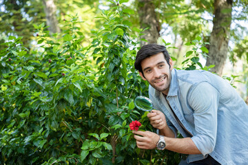 A handsome scientist uses a magnifying glass to study the red flowers in the garden. Concept of plant research and propagation