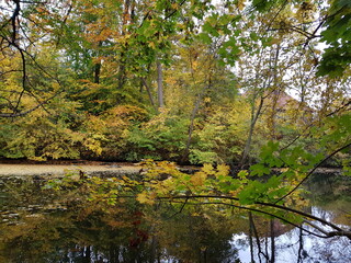 autumn in the park,herbst, fall, baum, natur, blatt, baum, wald, gelb, blatt, park, landschaft, green, ahorn, laub, rot, jahreszeit, bunt, farbe, himmel, orange, wasser, garden, see, holz, eiche