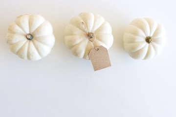 Autumn composition. White pumpkins with a blank gift, price tags on white table background. Fall, Halloween and Thanksgiving design. Business concept. Styled stock photography, selective focus.
