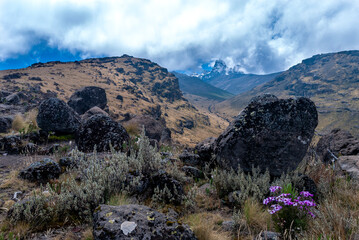 landscape in the mountains