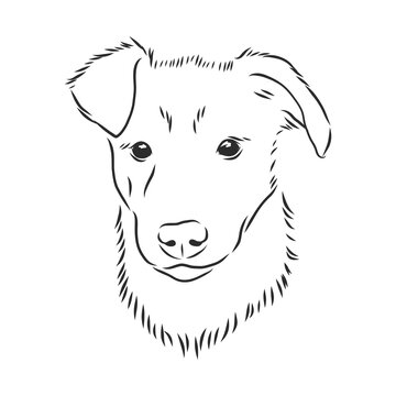 Silhouette simple head dog. Vector illustration. portrait of a dog, vector sketch illustration