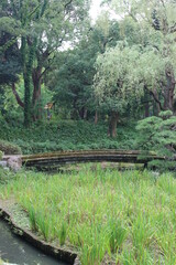 森・緑・自然