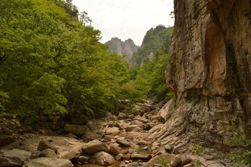 Lantern festival on Buddha's Birthday in Seoul, South Korea