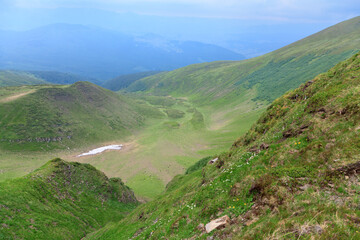 Mountain landscape, green slopes with flowers in the foreground, deep valley with herd of sheep, foggy mountains on the horizon.