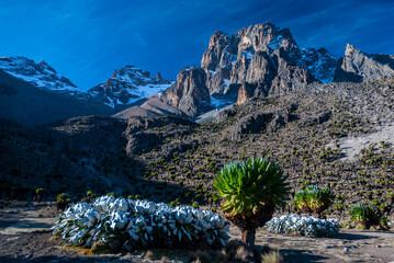 mt. Kenya national park