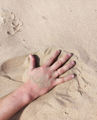 hand on the sand on the beach nv sea in the crimea