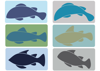 Colored fish as a logo and emblem. Fishing and fish products logos.