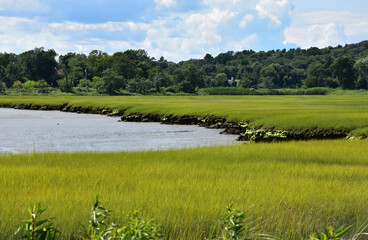 Beautiful Scenic Marsh and River Views on a Spring Day