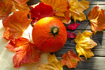 Orange natural round pumpkin on a wooden table with fallen yellow and red maple leaves. Warm autumn atmosphere, thanksgiving, harvest festival, Halloween. Copy space.