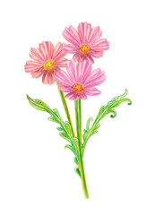 elegant bouquet of pink flowers with abstract stylized leaves. watercolor painting