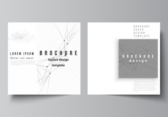 Vector layout of two square covers templates for brochure, flyer, magazine, cover design, book design, brochure cover. Gray technology background with connecting lines and dots. Network concept.
