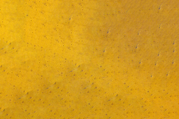 Yellow and green autumn leaf texture