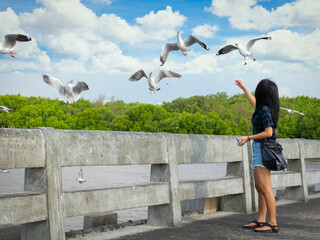 Backside of traveler Asian young woman dress in casual feeding seagulls standing on bridge.