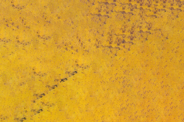 Yellow and green autumn leaf texture