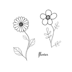 Flower with leaves ink monochrome hand drawn sketch. Art nature design element stock vector illustration for web, for print, for product tea design