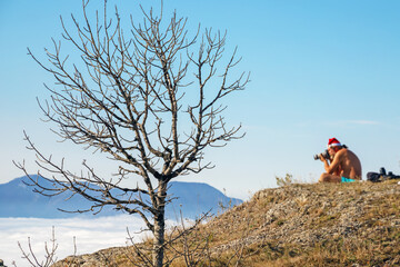 Obraz premium dried-up tree on rocky mountain area and photographer behind it