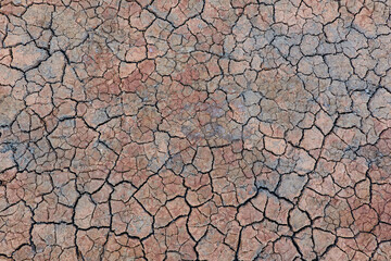 Dry and cracked mud