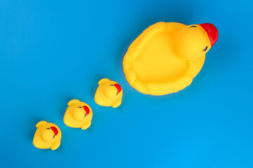 Baby duckling rubber follow the mother duck on a blue background