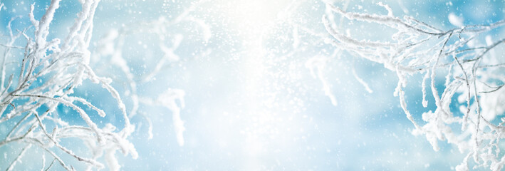 Winter background with snowy and iced branches of trees on blue sky backdrop. Christmas or New Year winter concept.