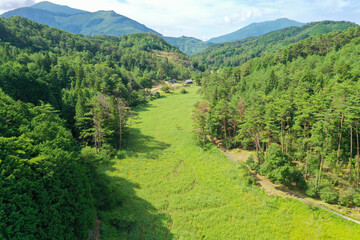 徳島県三好市　黒沢湿原の風景