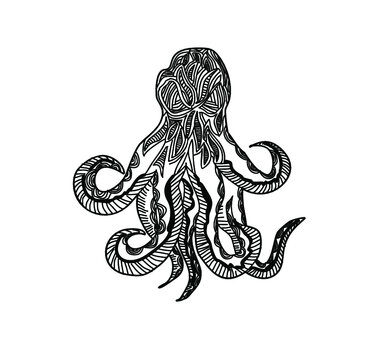 octopus hand drawn line illustration vector