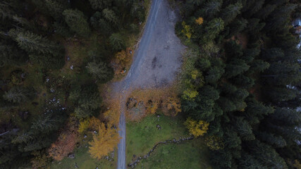 Fototapeta na wymiar Luftaufnahme des Gurgltals in Tirol, Alpen aus der Vogelperspektive, Drohnenaufnahme der Natur im Herbst 