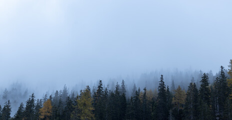 Fototapeta na wymiar Nebliger Herbst, Dichter Nebel im Wald, Herbstwetter in den Alpen
