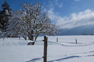 verschneite
Winterlandschaft 