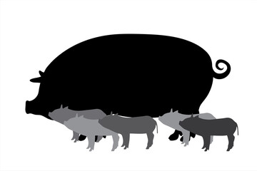 Vector silhouette of pig with babies on white background. Symbol of farm animals.